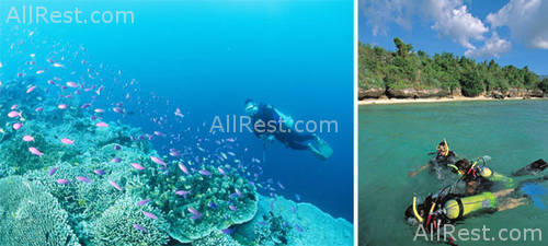 Badian Island Resort 41